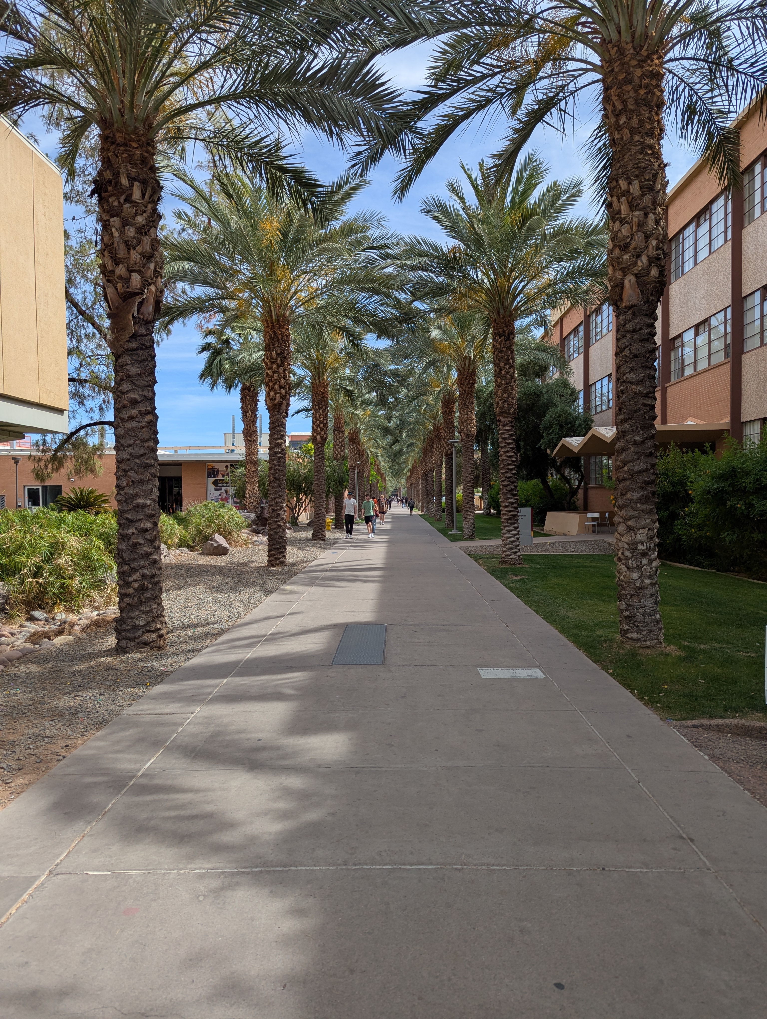 ASU Palm Walk 2025