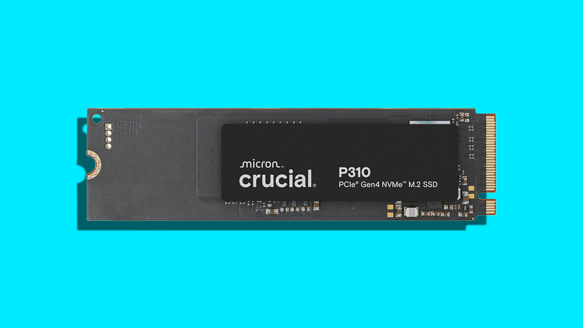 Crucial P310 Gen 4 SSD: A Storage Upgrade That Doesn’t Break the Bank