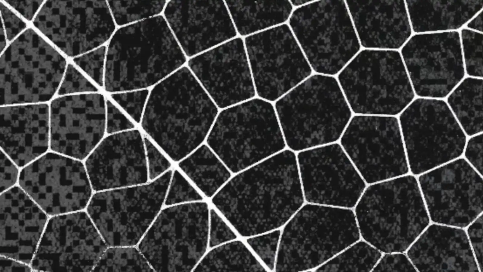 AI's self-audit reveals critical software vulnerabilities at scale