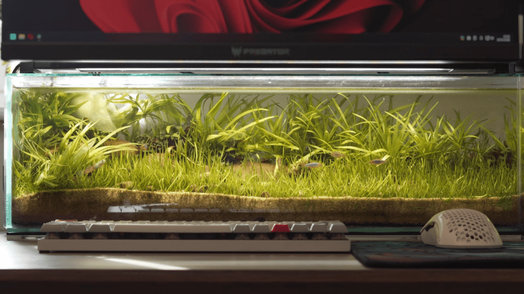 A dual-purpose PC desk merges productivity with aquatic life
