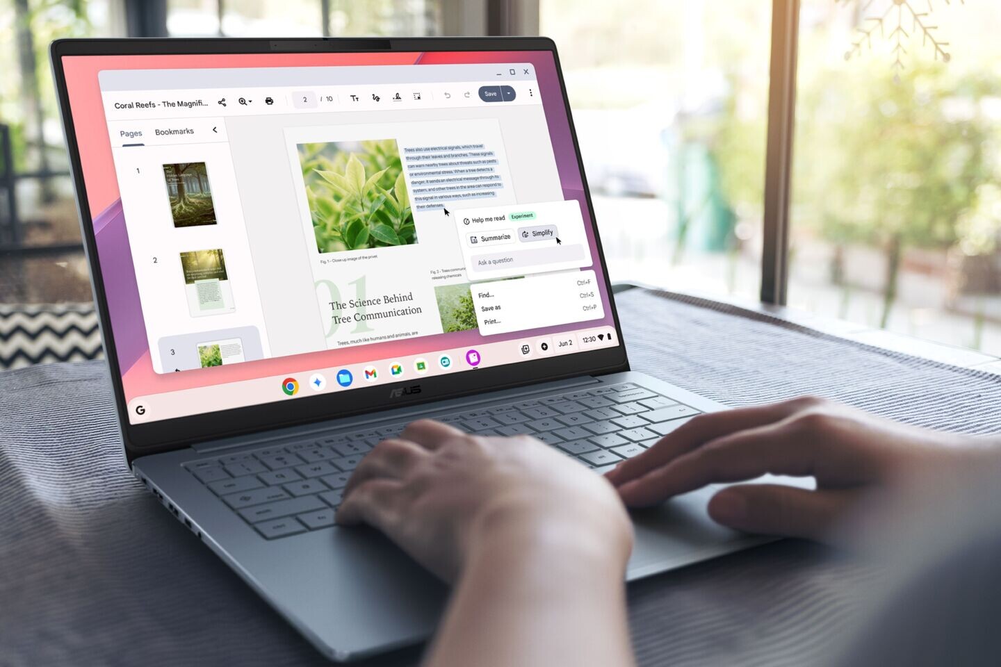 ASUS Chromebook CM14 (CM1406): A Premium Compact for Productivity on a Budget
