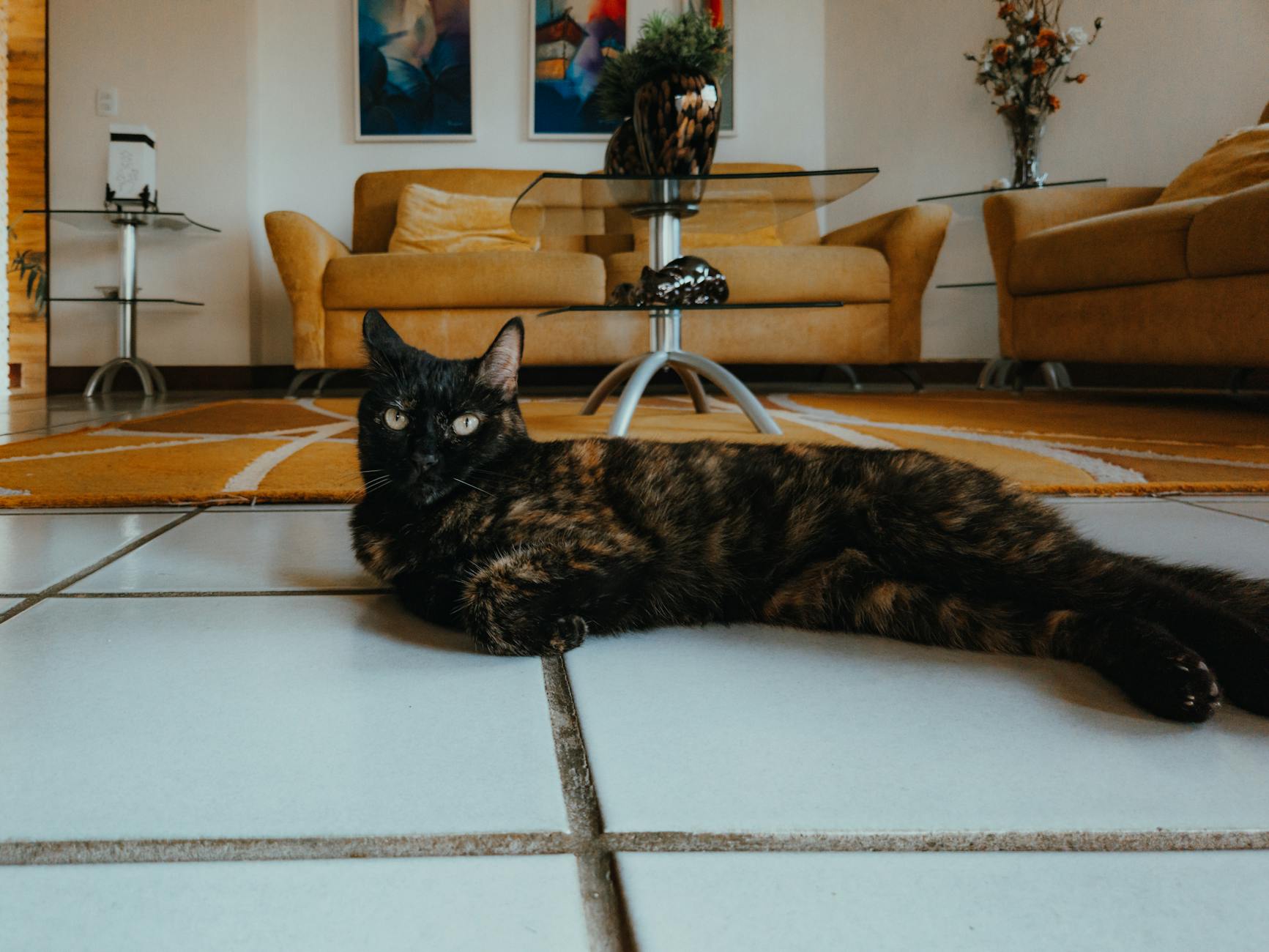 Samsung Galaxy S25 Ultra 2025 (1)