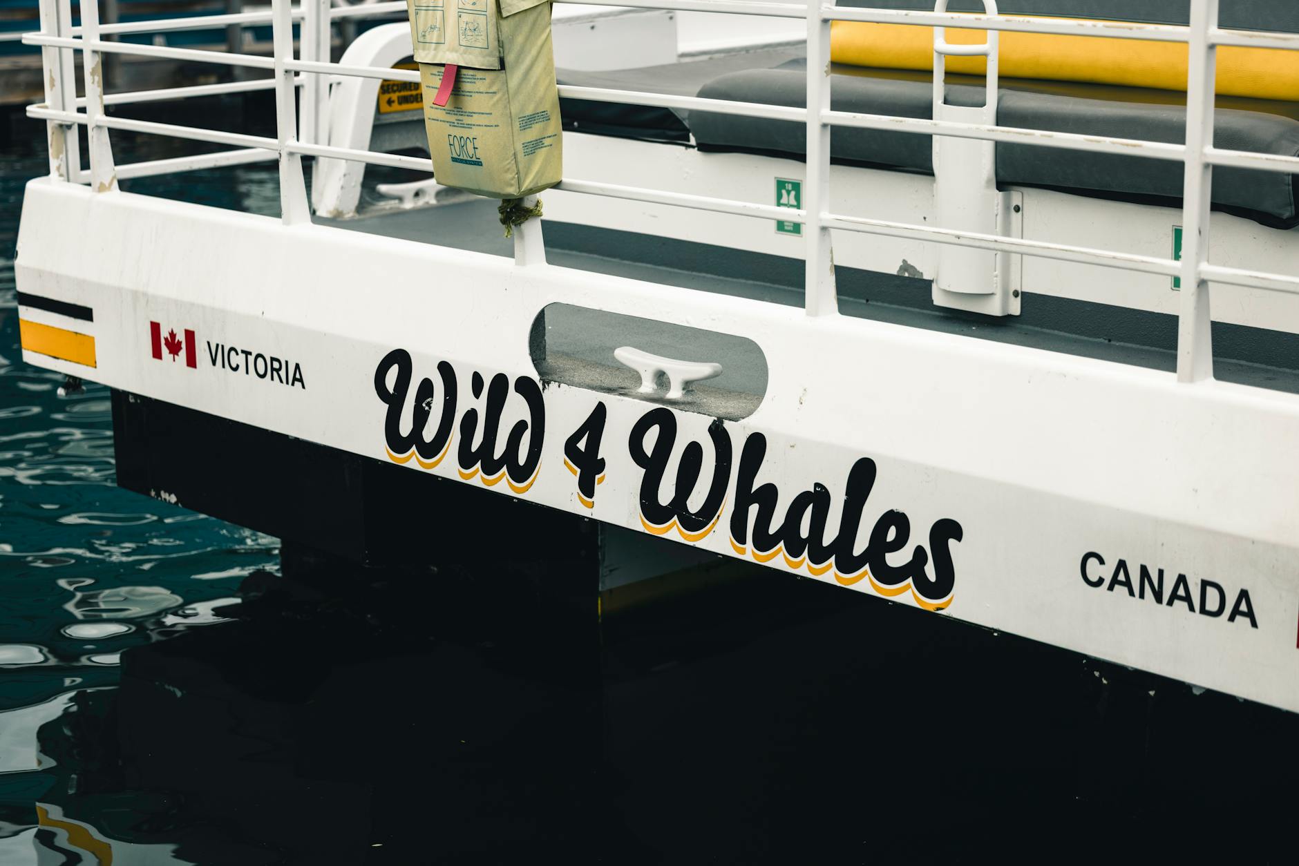 2022-04-16_11-13-26_ILCE-7C_DSCAQ8991_DxO